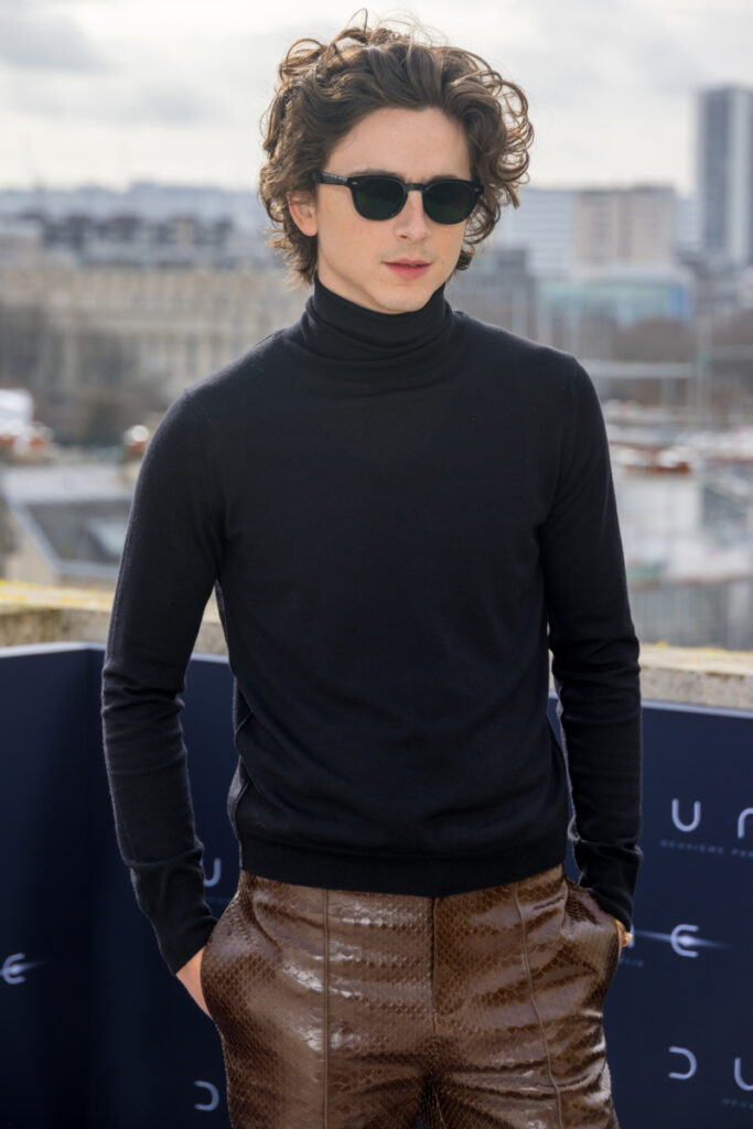 Timothee Chalamet in schwarzem Rollkragenpullover und einer Hose in Kroko-Optik